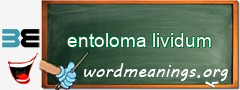 WordMeaning blackboard for entoloma lividum